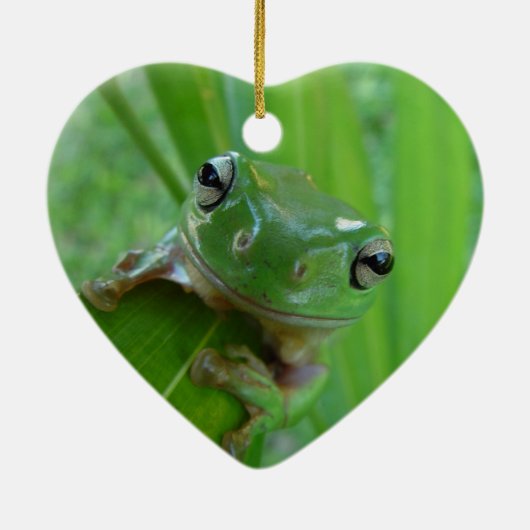 Frosch Keramik Ornament (Hinten)