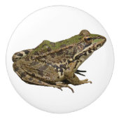 Frosch Keramikknauf (Vorderseite)