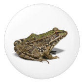 Frosch Keramikknauf (Vorderseite)