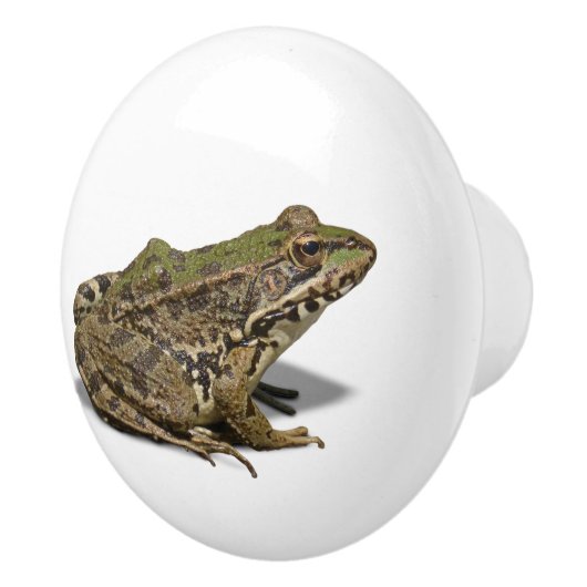 Frosch Keramikknauf (Rechts)