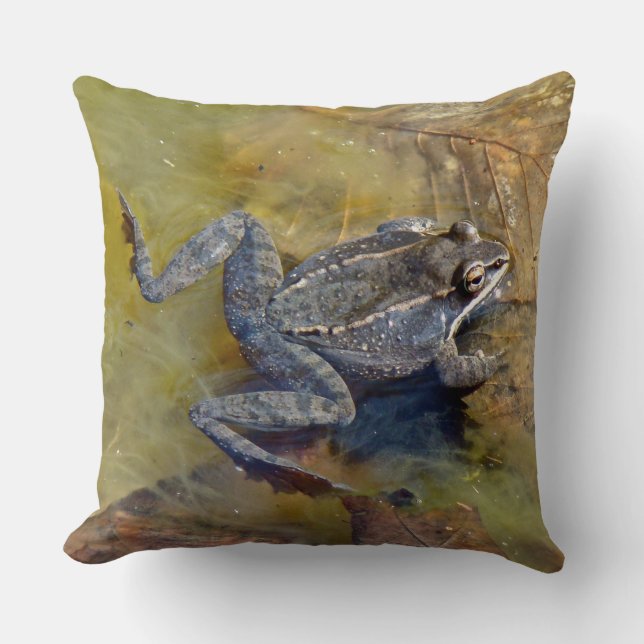 Frosch Kissen (Vorderseite)