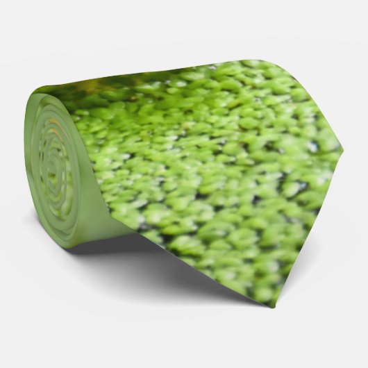 Frosch-Krawatte Krawatte (Gerollt)