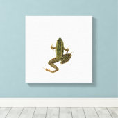 Frosch Leinwanddruck (Insitu (Holzboden))