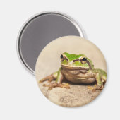 FROSCH MAGNET (Vorderseite/Rückseite)