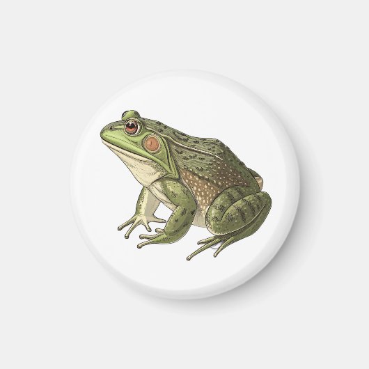 Frosch Magnet (Vorne)