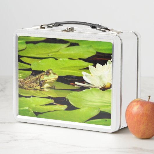 Frosch Metall Brotdose (Beispiel)