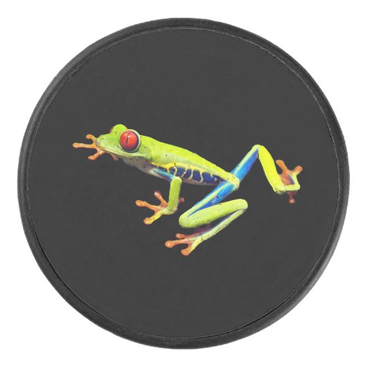 Frosch, Mit Augen gestrichen Eishockey Puck (Vorderseite)