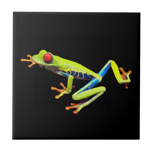 Frosch, Mit Augen gestrichen Fliese (Vorderseite)