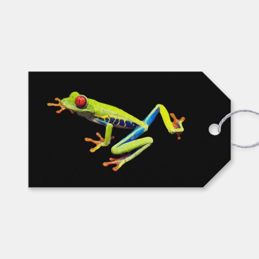 Frosch, Mit Augen gestrichen Geschenkanhänger (Vorderseite (Horizontal))
