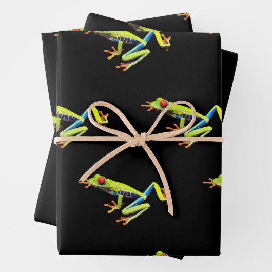 Frosch, Mit Augen gestrichen Geschenkpapier Set (Beispiel)
