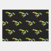 Frosch, Mit Augen gestrichen Geschenkpapier Set (Vorderseite)