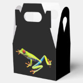 Frosch, Mit Augen gestrichen Geschenkschachtel (Geöffnet)