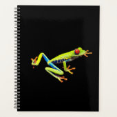Frosch, Mit Augen gestrichen Planer (Vorderseite)