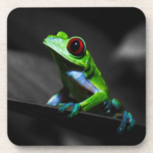 Frosch, Mit Augen Rotbaum III Getränkeuntersetzer