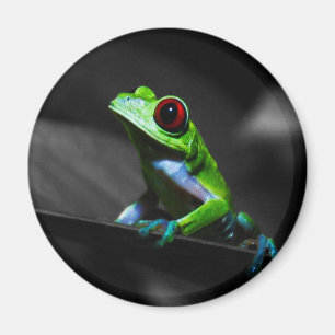 Frosch, Mit Augen Rotbaum III Magnet