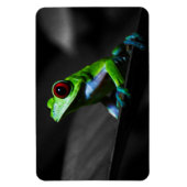 Frosch, Mit Augen Rotbaum III Magnet (Vertikal)