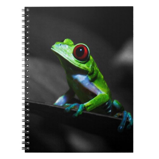 Frosch, Mit Augen Rotbaum III Notizblock (Vorderseite)