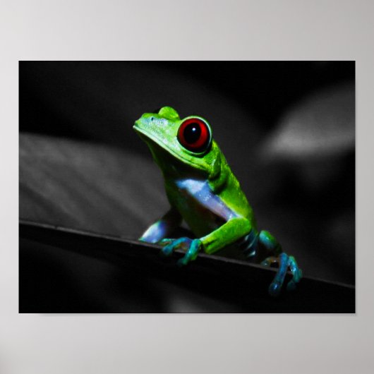 Frosch, Mit Augen Rotbaum III Poster (Vorne)