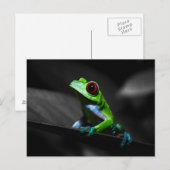Frosch, Mit Augen Rotbaum III Postkarte (Vorne/Hinten)