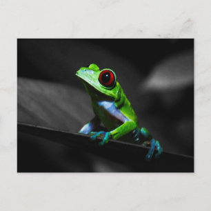 Frosch, Mit Augen Rotbaum III Postkarte