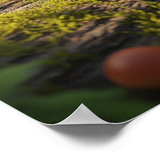 Frosch mit Computereingabe Poster (Ecke)