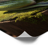 Frosch mit einem Handy Poster (Ecke)