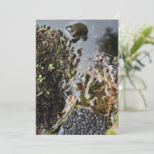 Frosch mit Frosch Spawn Einladung (Stehend Vorderseite)