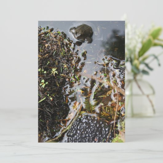 Frosch mit Frosch Spawn Einladung (Stehend Vorderseite)