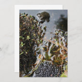 Frosch mit Frosch Spawn Einladung (Vorne/Hinten)