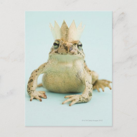 Frosch mit Krone Postkarte (Vorderseite)