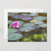 Frosch mit Seerose Postkarte (Vorne/Hinten)