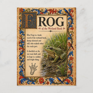Frosch, mittelalterliche Bestiarien-Kunst Postkarte