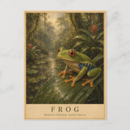 Frosch Mittelamerika VINTAGE Postkarte