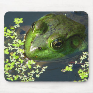Frosch Mousepad