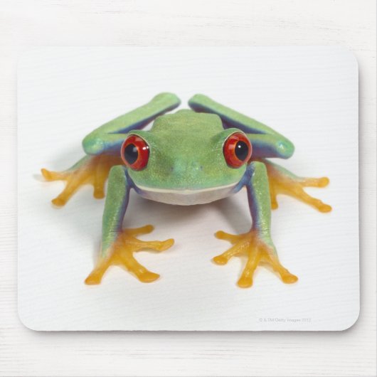 Frosch Mousepad (Vorne)