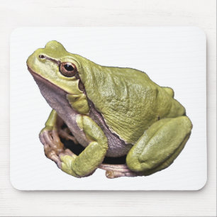 Frosch Mousepad