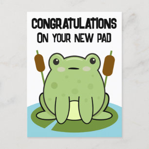 Frosch neues Zuhause Kissen Gratulation Postkarte