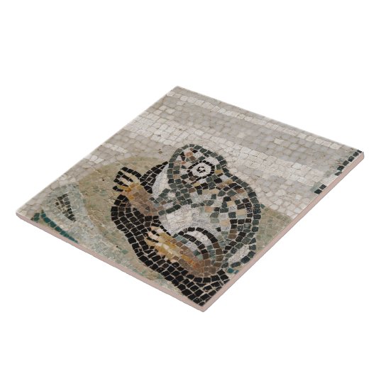 Frosch, Nil-Mosaik, vom Haus des Faun Fliese (Seite)