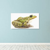 Frosch oder genießbarer Frosch Leinwanddruck (Insitu (Holzboden))