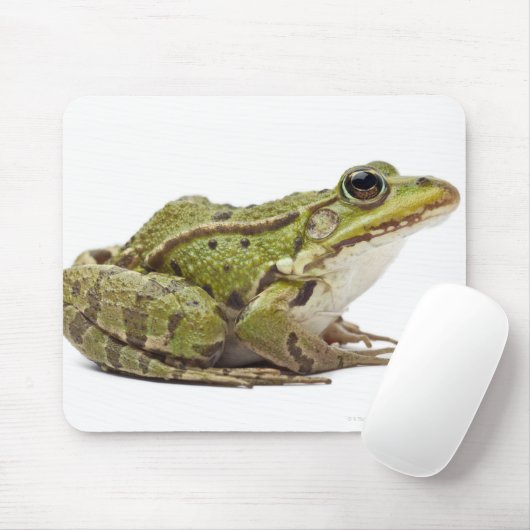 Frosch oder genießbarer Frosch Mousepad (Mit Mouse)
