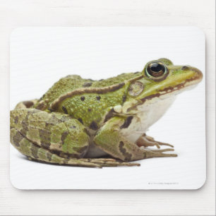 Frosch oder genießbarer Frosch Mousepad