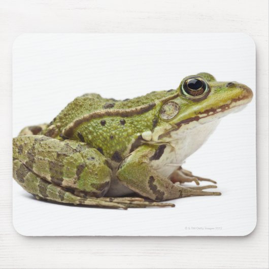Frosch oder genießbarer Frosch Mousepad (Vorne)