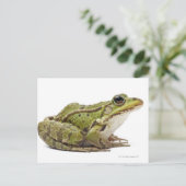 Frosch oder genießbarer Frosch Postkarte (Stehend Vorderseite)