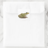 Frosch oder genießbarer Frosch Quadratischer Aufkleber (Tasche)