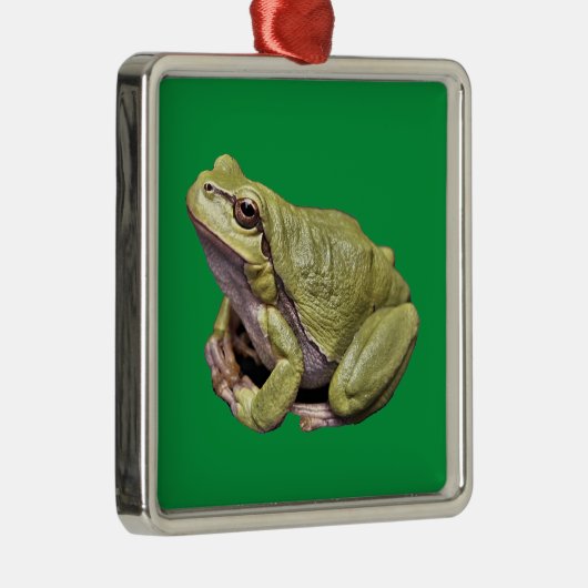 Frosch Ornament Aus Metall (Rechts)