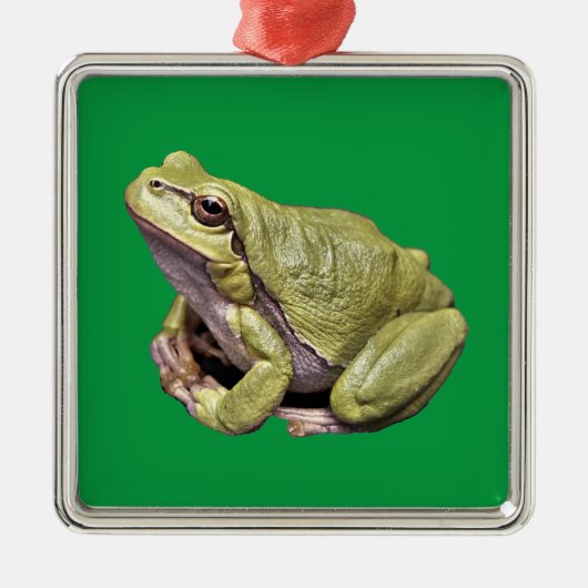 Frosch Ornament Aus Metall (Vorne)