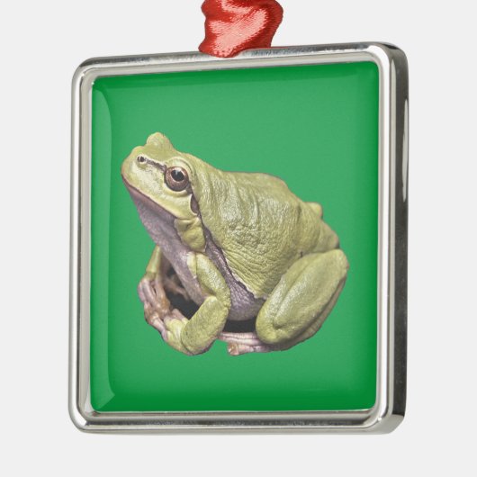 Frosch Ornament Aus Metall (Links)