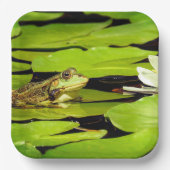 Frosch Pappteller (Vorderseite)