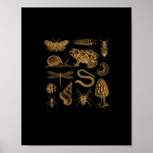Frosch-Pilz-Motte Vintage-Liebhaber Goblincore Poster