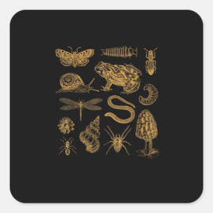 Frosch-Pilz-Motte Vintage-Liebhaber Goblincore Quadratischer Aufkleber